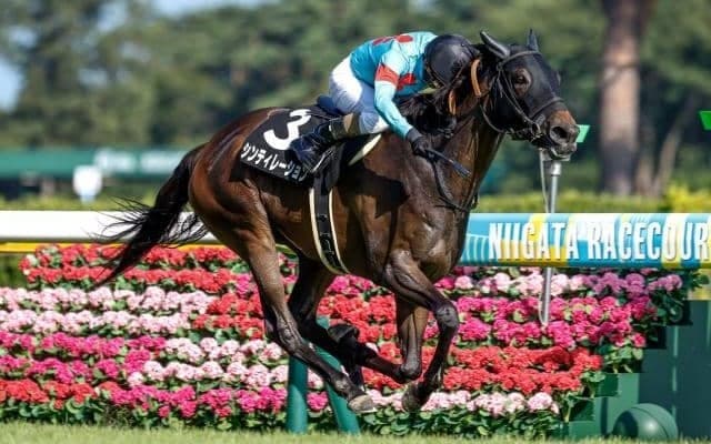 【エリザベス女王杯予想】人気薄狙うパターンとは 過去10年データから探るGI女王決定戦