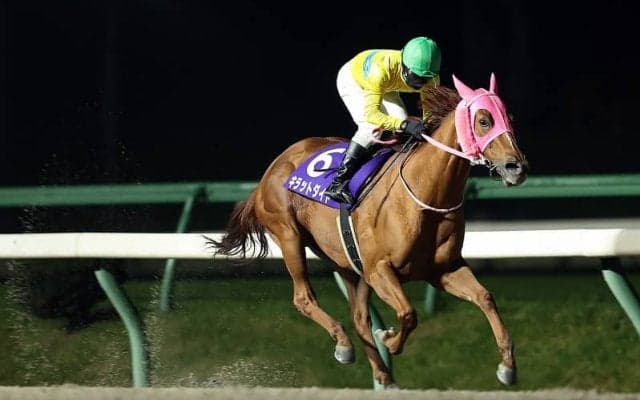 【岩手競馬】すずらん賞見どころ…休養明けに強いゴールデンヒーラーなど