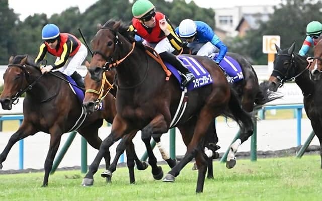 【エリザベス女王杯結果】秋の女王はスタニングローズ！ 22年秋華賞以来の復活V！