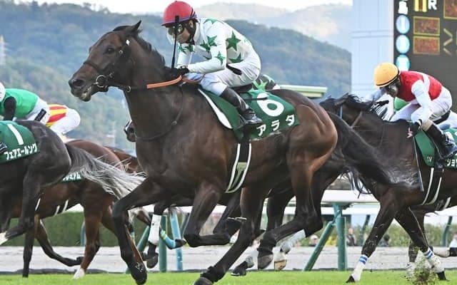 【福島記念結果】アラタが3度目の挑戦でV！ 悲願の重賞初制覇