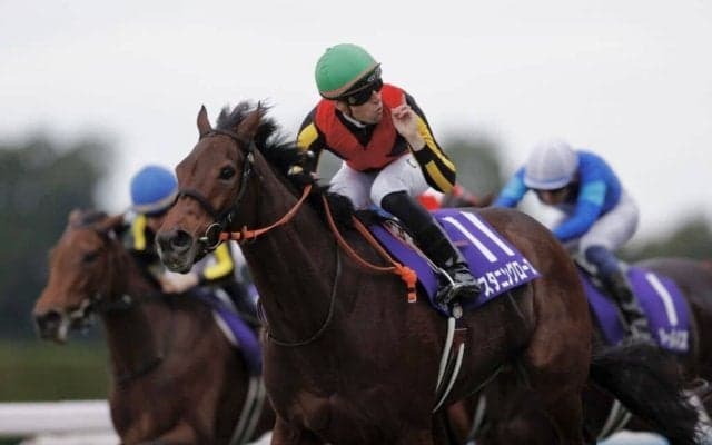 【エリザベス女王杯】C.デムーロ騎乗 スタニングローズが復活V…レガレイラは敗れる