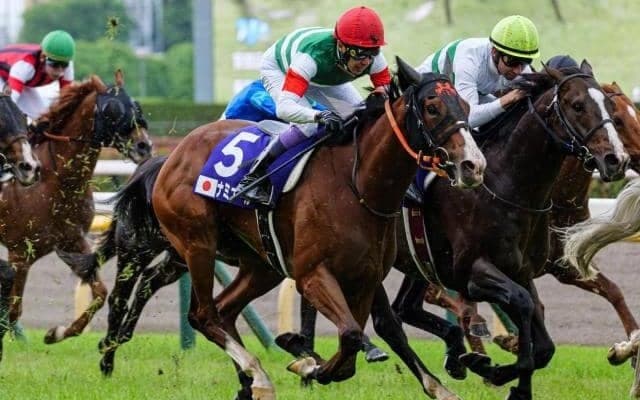 秋のマイル王決定戦マイルCSと2歳馬の登竜門・東スポ杯2歳S/今週の競馬界の見どころ