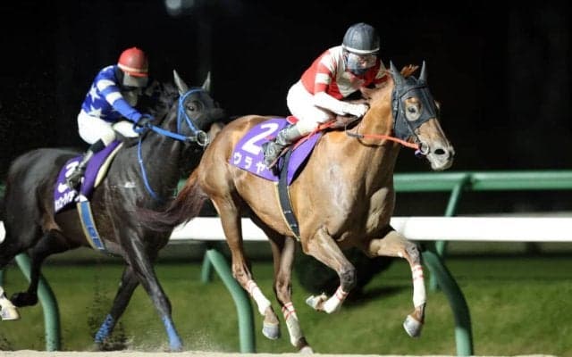 【盛岡・絆カップ】ウラヤが初1200mを快勝…村上忍「上手に走ってくれた」