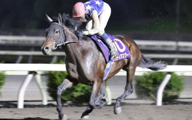 【高知・黒潮マイルチャンピオンシップ】グラティアスグーが5馬身差完勝…林「乗るごとに成長」