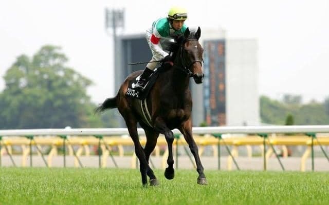 11月11日は「宝石の日」 ジュエリーにちなんだ馬名にはGI馬3頭を送り出した名繁殖も
