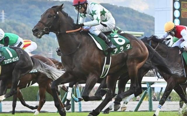 【福島記念】売上は25億4237万2200円で昨年より約1.3億円減少