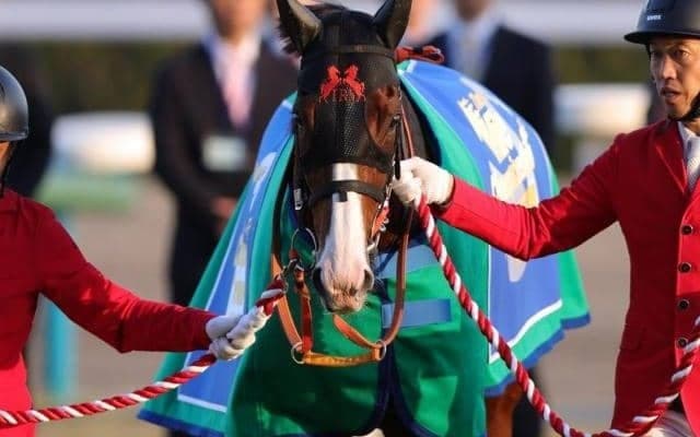 マイルCS史上7頭目の連覇達成へ C.デムーロ騎手×高野厩舎のタッグが2週連続GI制覇狙う