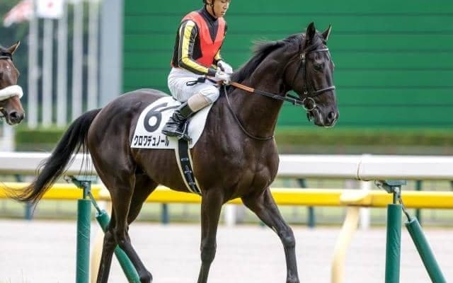 【東スポ杯2歳S展望】2歳戦屈指の出世レース、決め手勝負になりやすい