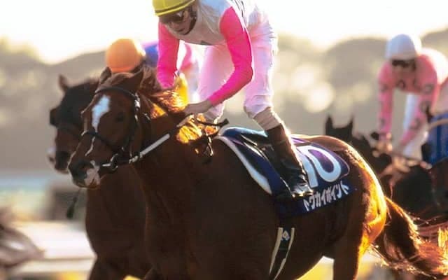 初年度産駒デビューから5年目の栄冠 トウカイテイオー産駒初のGI勝ち