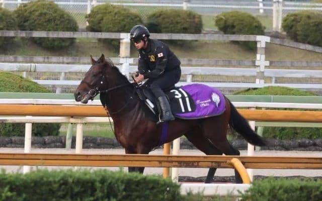 エンダードラゴンなど、先週の入厩情報/栗東トレセンニュース