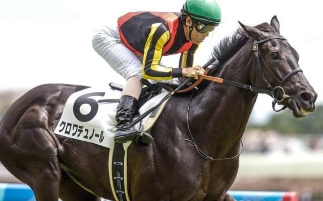 【東スポ杯2歳S予想オッズ】クロワデュノールが予想1番人気