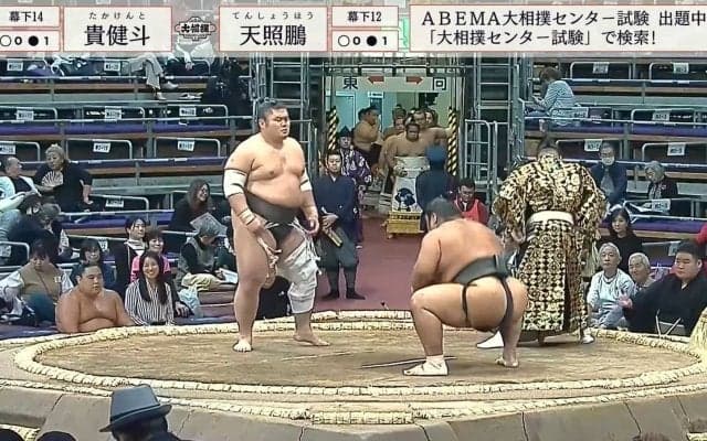 どうしてこうなった？ 力士の髷が大爆発…顔が見えなくなる珍事 ”超ワイルド”力士の誕生に「激しい…！」「なんかすごいことになってる」