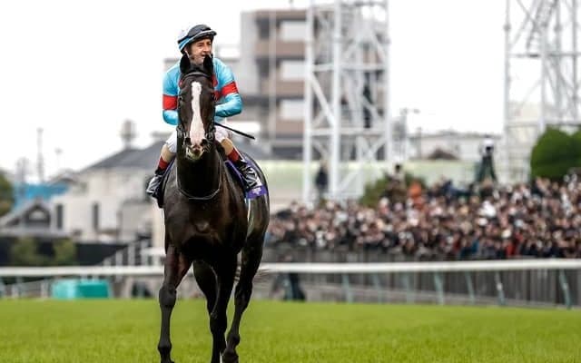 ジャパンC指定席は最高倍率「29.7倍」世界から強豪馬参戦でプラチナチケットに