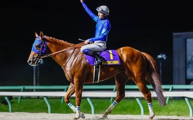 【チャンピオンズC想定】レモンポップ、ウィルソンテソーロなど18頭