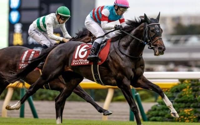 【マイルCS予想】トップマイラーが一堂に集結 AIの推奨は勢いに乗る注目の5歳馬