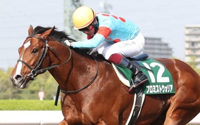 プロミストウォリアの競走馬登録抹消…種牡馬入り