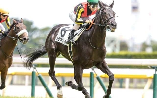 【東スポ杯2歳S出走馬・騎手確定】クロワデュノール＆北村友一騎手、レッドキングリー＆C.ルメール騎手など9頭