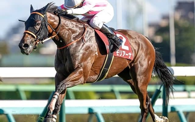 23年紫苑S覇者のモリアーナが登録抹消 今後は繁殖馬に