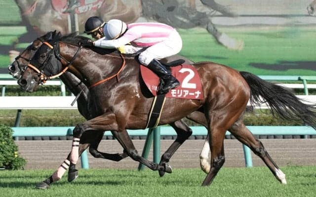 モリアーナの競走馬登録抹消…繁殖入り