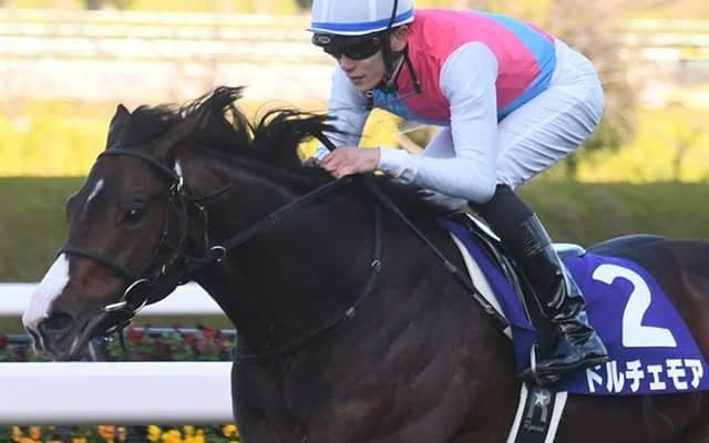 22年の朝日杯FS覇者ドルチェモアが登録抹消 大井競馬へ移籍