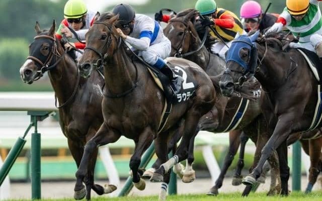 「温泉」と名の付くJRAのレースはいくつ？ 今週末の“温泉レース”を前に調べてみると