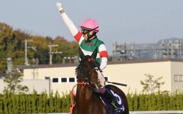 【マイルCS枠順確定】ナミュールは2枠4番、ブレイディヴェーグは1枠2番