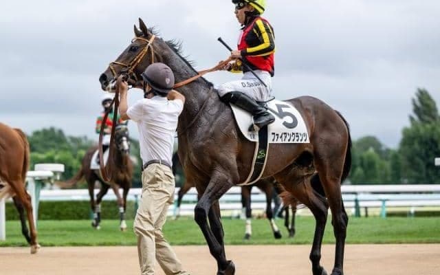 【東スポ杯2歳S枠順確定】ファイアンクランツは3枠3番、クロワデュノールは4枠4番