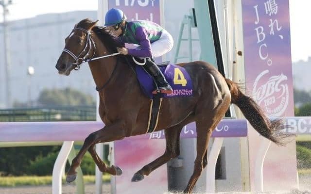 23年JBCレディスC覇者アイコンテーラーが抹消 今後は北海道で繁殖牝馬に