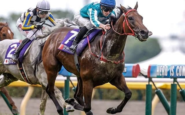 今年は安田記念がサイン!? ジャパンCの3着馬との関連性とは