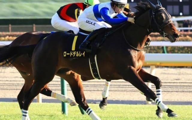 6戦5勝の“未完の大器”が復帰戦 10カ月ぶり実戦を白星で飾り大舞台へ弾みをつけるか