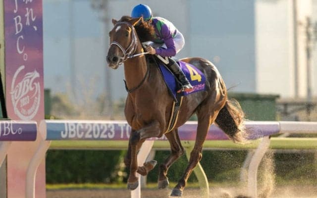アイコンテーラーの競走馬登録抹消…交流G1で優勝