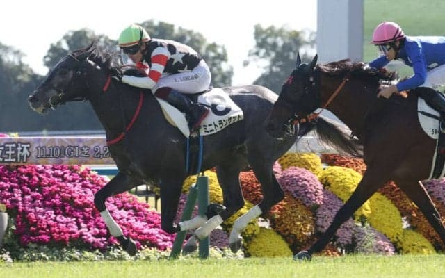 【新馬/京都5R】ミニトランザットがデビューV…断然人気アスクセクシーモアはまさかの最下位