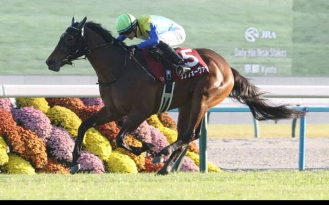 【デイリー杯2歳S】坂井瑠「完勝だった」ランフォーヴァウが重賞初制覇