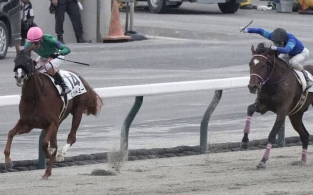 【新馬/福島6R】最年長ジョッキー柴田善臣騎乗 ヒットミーが人気に応える