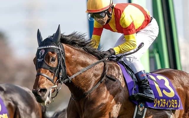 皐月賞馬ジャスティンミラノが抹消 今後は種牡馬に