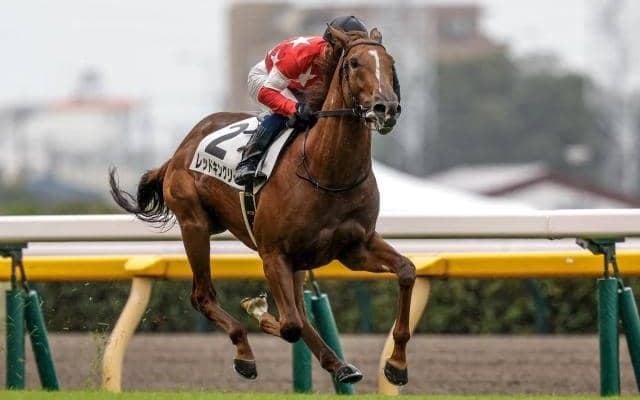 【東スポ杯2歳S予想】過去の勝ち馬にはコントレイルやイクイノックス 出世レースとして名高い一戦