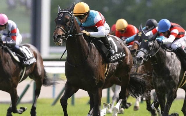 【競馬予想】マイルCSでは新勢力の台頭を期待　馬券的に妙味があるのは末脚自慢の上り馬