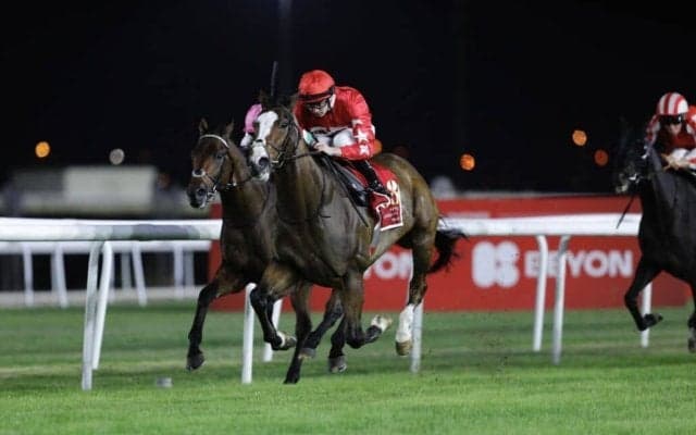 【バーレーン国際競走】日本馬キラーアビリティ、ヤマニンサンパは敗れる…スピリットダンサーが連覇