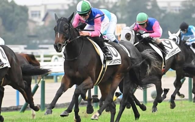 【京都5R新馬戦結果】10番人気のメイショウタマユラが差し切りV
