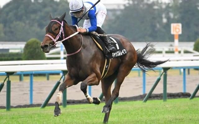 【秋明菊賞結果】2番人気キャッスルレイクが追い比べを制す