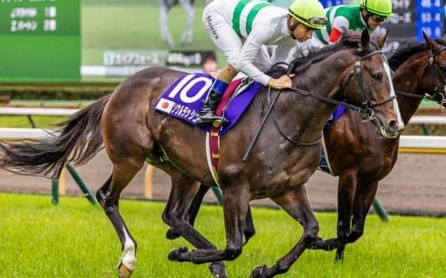 【AI予想・マイルCS】本命は京都で安定した走りを見せる実力派！ 悲願のGI制覇へ人工知能も太鼓判