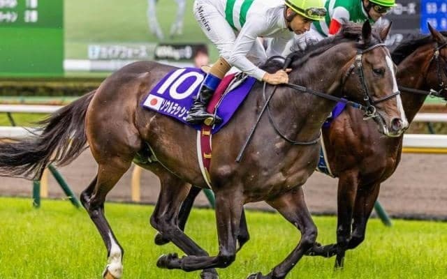 霜降り明星・粗品がマイルCSを予想 「ここが最大のチャンス」と重賞3勝の実績馬に◎