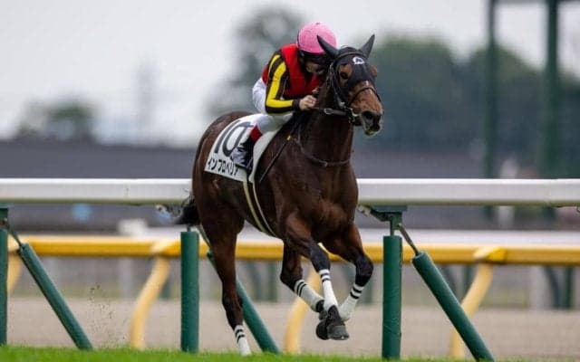 【新馬/東京5R】単勝1.2倍インプロペリアが断然の支持に応える