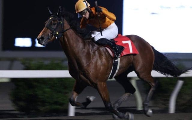 【高知・土佐寒蘭特別】ユラリユラメイテが3馬身差完勝…岡村「うまく逃れた」