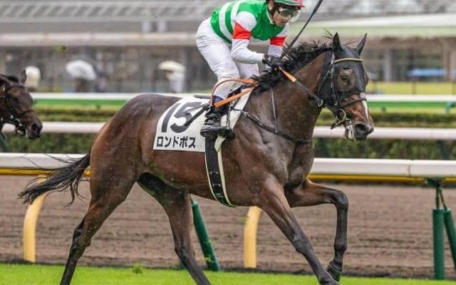 デイリー杯2歳S回避のロンドボス 赤松賞で仕切り直しの一戦