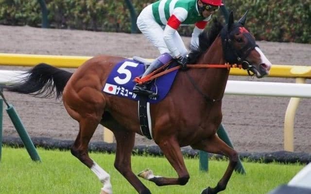 【マイルCS予想】秋のマイル王者決定戦 今年はBコース使用でレース傾向に変化も？