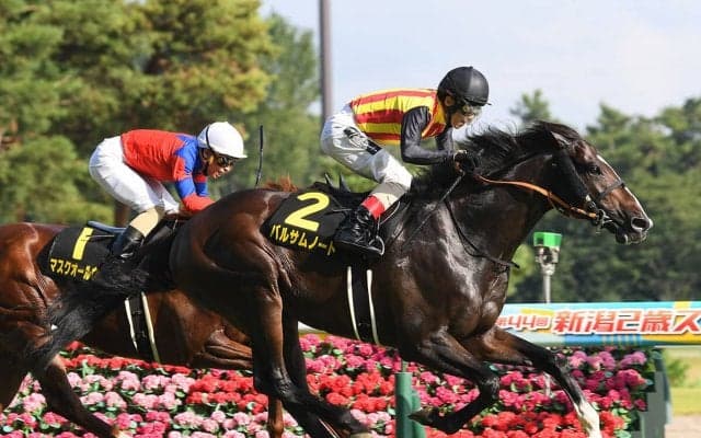 【競馬血統予想】ＧⅠマイルチャンピオンシップと縁がある馬は？　混戦を抜け出しそうな２頭をピックアップ