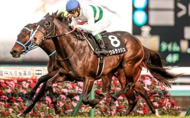 【マイルCS予想】重視すべきは「ローテ」「着順」？ 過去データから探るGIマイルCS