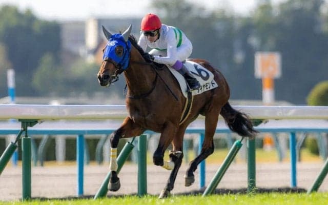 【京都1R】武豊ダイヤモンドが人気に応える