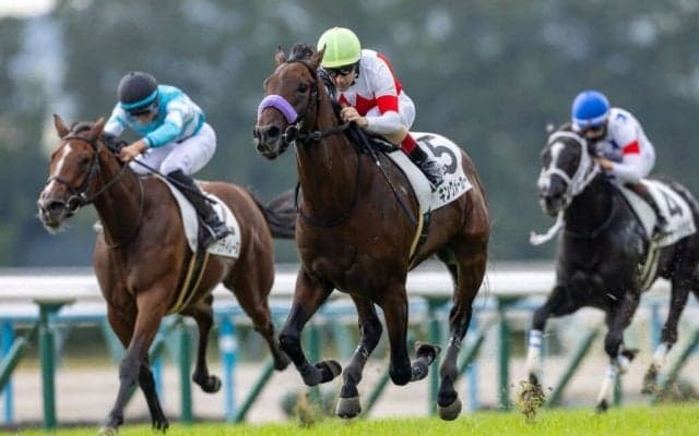 【新馬/京都5R】キングメーカーが人気に応える